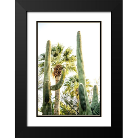 Desert cactus-Carefree-Arizona Black Modern Wood Framed Art Print with Double Matting by McRoberts, Julien