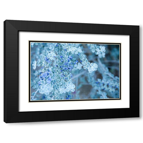 Desert cactus-Carefree-Arizona Black Modern Wood Framed Art Print with Double Matting by McRoberts, Julien