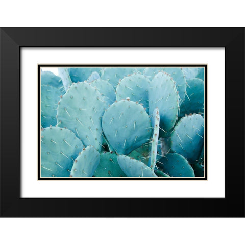 Desert cactus-Carefree-Arizona Black Modern Wood Framed Art Print with Double Matting by McRoberts, Julien