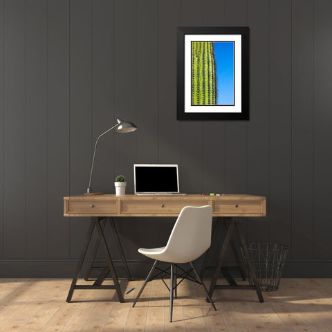 Desert cactus-Carefree-Arizona Black Modern Wood Framed Art Print with Double Matting by McRoberts, Julien