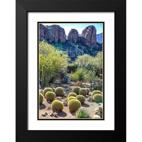 Arizona- USA. Saguaro Cactus Black Modern Wood Framed Art Print with Double Matting by Sienda, Jolly