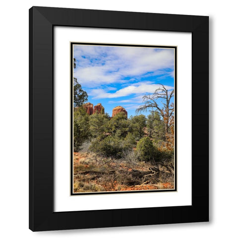 Sedona- Arizona- USA. Cathedral Rock- red rock formations Black Modern Wood Framed Art Print with Double Matting by Sienda, Jolly