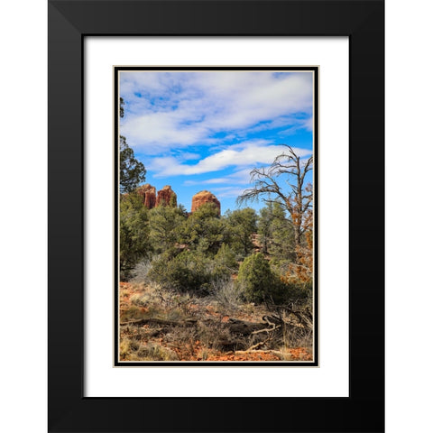 Sedona- Arizona- USA. Cathedral Rock- red rock formations Black Modern Wood Framed Art Print with Double Matting by Sienda, Jolly