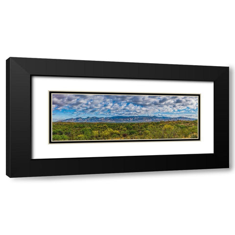 Arizona-Tucson-Saguaro National Park Black Modern Wood Framed Art Print with Double Matting by Hawkins, Peter