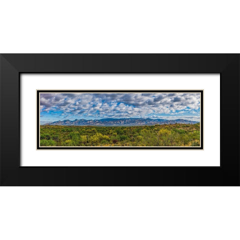 Arizona-Tucson-Saguaro National Park Black Modern Wood Framed Art Print with Double Matting by Hawkins, Peter
