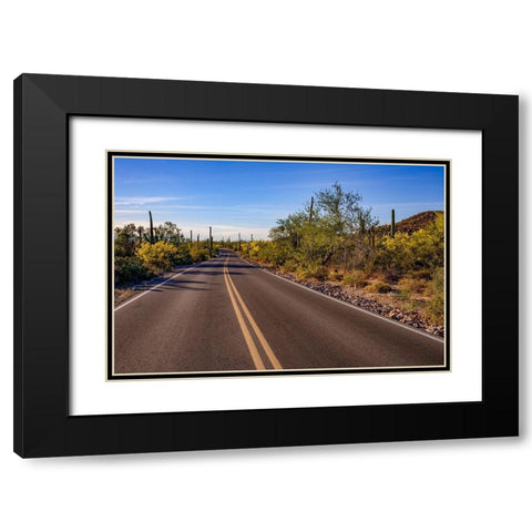 Arizona-Tucson-Saguaro National Park Black Modern Wood Framed Art Print with Double Matting by Hawkins, Peter
