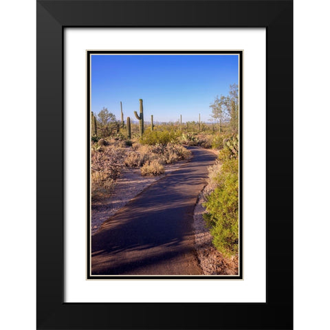 Arizona-Tucson-Saguaro National Park Black Modern Wood Framed Art Print with Double Matting by Hawkins, Peter