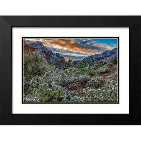 Arizona-Tucson Mountain Park Black Modern Wood Framed Art Print with Double Matting by Hawkins, Peter