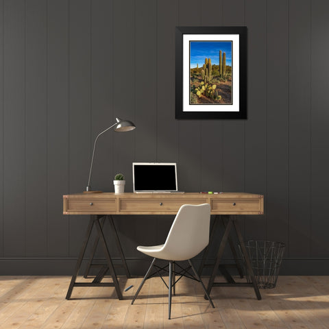 Arizona-Tucson Mountain Park Black Modern Wood Framed Art Print with Double Matting by Hawkins, Peter
