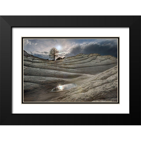 A pool reflects in folds of Brain Rock in white pockets in northern Arizona Black Modern Wood Framed Art Print with Double Matting by SMO