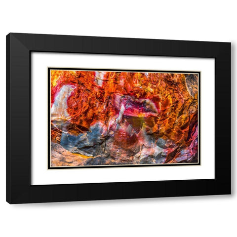 Red-orange and yellow petrified wood abstract-Blue Mesa-Petrified Forest National Park-Arizona Black Modern Wood Framed Art Print with Double Matting by Perry, William