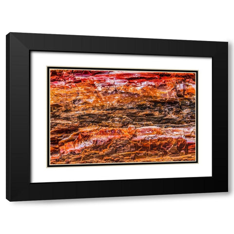 Red-orange and yellow petrified wood abstract-Blue Mesa-Petrified Forest National Park-Arizona Black Modern Wood Framed Art Print with Double Matting by Perry, William
