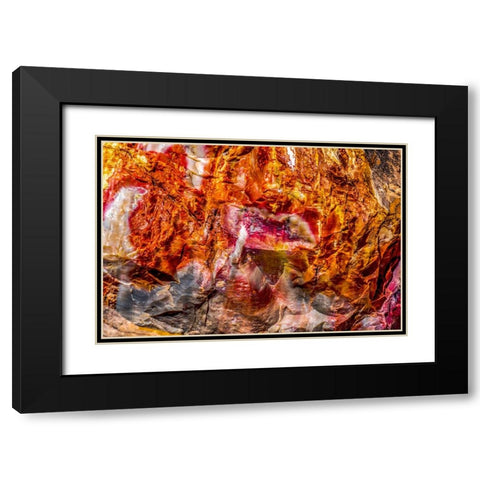 Red-orange and yellow petrified wood abstract-Blue Mesa-Petrified Forest National Park-Arizona Black Modern Wood Framed Art Print with Double Matting by Perry, William