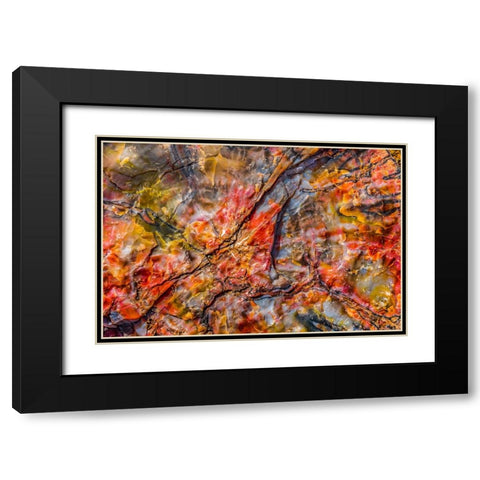 Red-blue-orange petrified wood-Visitor Center-Petrified Forest National Park-Arizona Black Modern Wood Framed Art Print with Double Matting by Perry, William