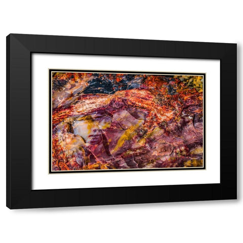 Red-blue-orange petrified wood-Visitor Center-Petrified Forest National Park-Arizona Black Modern Wood Framed Art Print with Double Matting by Perry, William