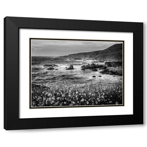 USA-California-Big Sur Dusk and mustard plants at Soberanes Cove Black Modern Wood Framed Art Print with Double Matting by Collins, Ann