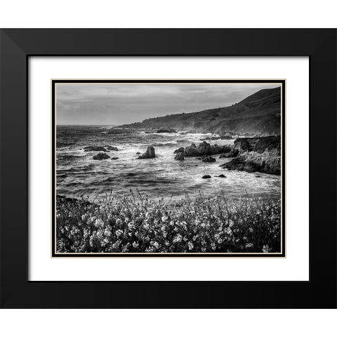 USA-California-Big Sur Dusk and mustard plants at Soberanes Cove Black Modern Wood Framed Art Print with Double Matting by Collins, Ann