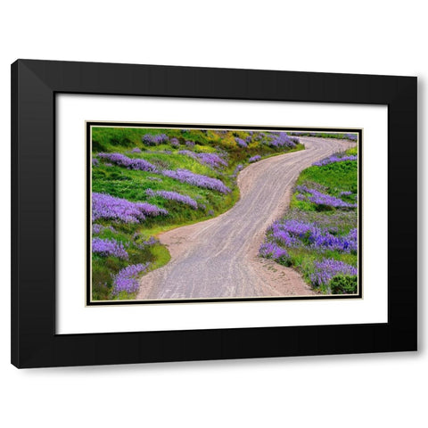 Bald Hills Road through lupine flowers-California Black Modern Wood Framed Art Print with Double Matting by Jones, Adam