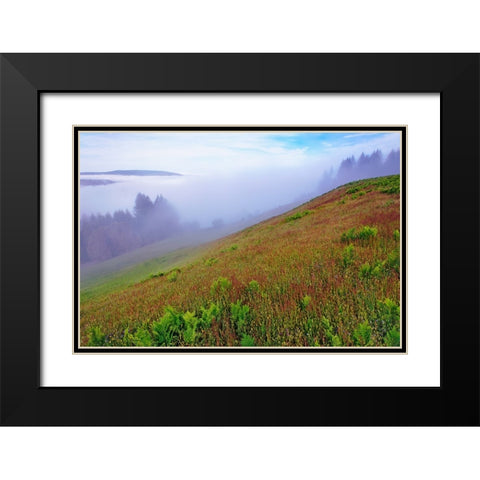 Foggy view of grasses Dolason Prairie Black Modern Wood Framed Art Print with Double Matting by Jones, Adam