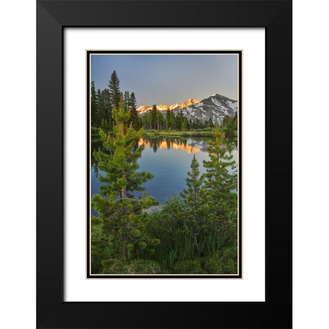 Alpine tarn-Tuolumne Meadows sunrise-Yosemite National Park-California Black Modern Wood Framed Art Print with Double Matting by Jones, Adam