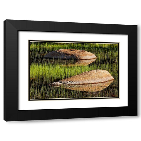 Rocks and grass at first light-Tuolumne Meadows-Yosemite National Park-California Black Modern Wood Framed Art Print with Double Matting by Jones, Adam