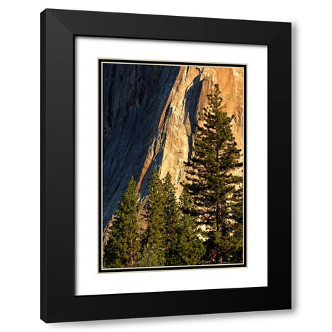 Pines at base of El Capitan-Yosemite National Park-California Black Modern Wood Framed Art Print with Double Matting by Jones, Adam