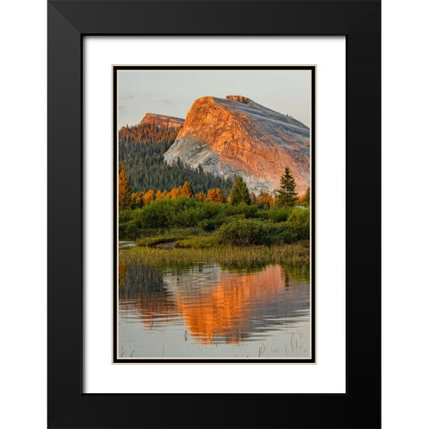 Tuolumne Meadows and Lembert Dome reflected in Tuolumne River Black Modern Wood Framed Art Print with Double Matting by Jones, Adam