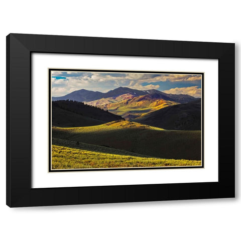 View of meadow in the White Mountains at sunset-Inyo National Forest-California Black Modern Wood Framed Art Print with Double Matting by Jones, Adam