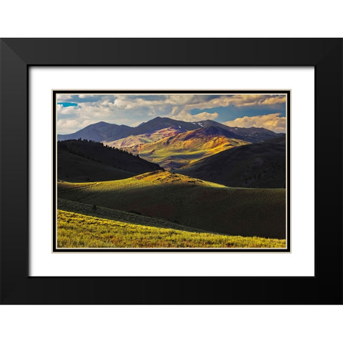 View of meadow in the White Mountains at sunset-Inyo National Forest-California Black Modern Wood Framed Art Print with Double Matting by Jones, Adam