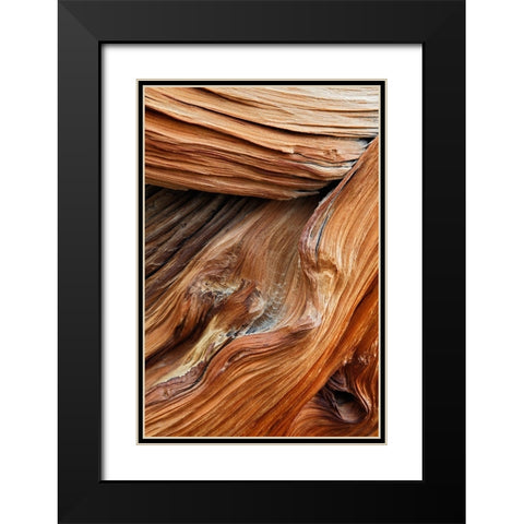 Pattern in wood of Bristlecone pine-White Mountains-Inyo National Forest-California Black Modern Wood Framed Art Print with Double Matting by Jones, Adam