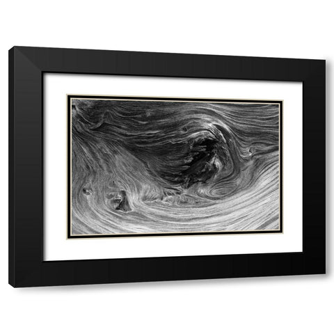 Pattern in wood of Bristlecone pine-White Mountains-Inyo National Forest-California Black Modern Wood Framed Art Print with Double Matting by Jones, Adam