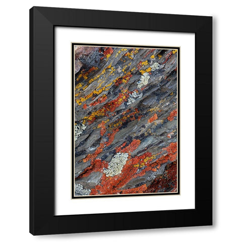 Colorful red and yellow lichens on rocks-eastern Sierra Range-California Black Modern Wood Framed Art Print with Double Matting by Jones, Adam