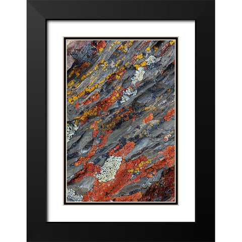 Colorful red and yellow lichens on rocks-eastern Sierra Range-California Black Modern Wood Framed Art Print with Double Matting by Jones, Adam