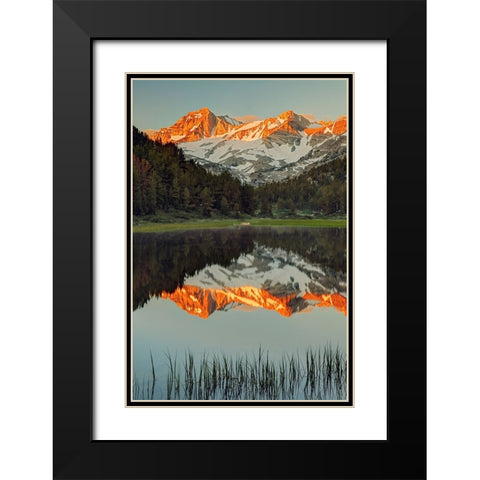 Alpine tarn-Tuolumne Meadows sunrise-Yosemite National Park-California Black Modern Wood Framed Art Print with Double Matting by Jones, Adam