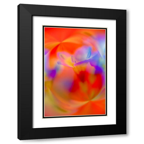 Abstract of Davy Gilia flowers-Antelope Valley California Poppy Preserve-Lancaster-California Black Modern Wood Framed Art Print with Double Matting by Jones, Adam