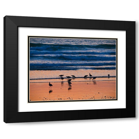 Morro Bay Shore Black Modern Wood Framed Art Print with Double Matting by Miller, Anna