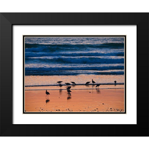 Morro Bay Shore Black Modern Wood Framed Art Print with Double Matting by Miller, Anna