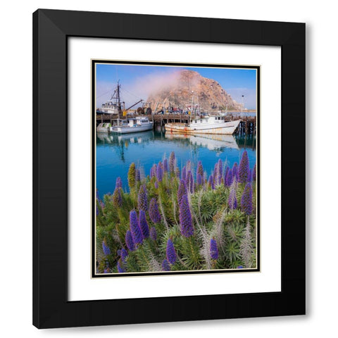 Boat Docks on Morro Bay-California-USA Black Modern Wood Framed Art Print with Double Matting by Miller, Anna
