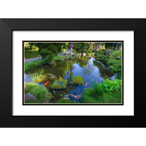 Koi Pond-Japanese Tea Garden-Golden Gate Park-San Francisco-California-USA Black Modern Wood Framed Art Print with Double Matting by Miller, Anna