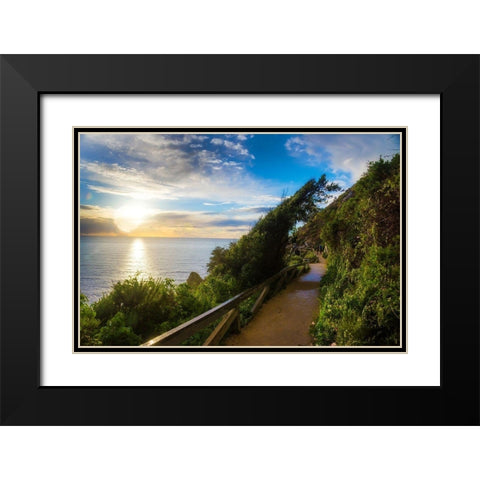 Sunset-Julia Pfeiffer Burns State Park-Big Sur-California-USA Black Modern Wood Framed Art Print with Double Matting by Miller, Anna