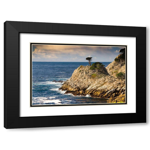 Cypress on Coastal Cliff-Point Lobos State Natural Reserve-California-USA Black Modern Wood Framed Art Print with Double Matting by Miller, Anna