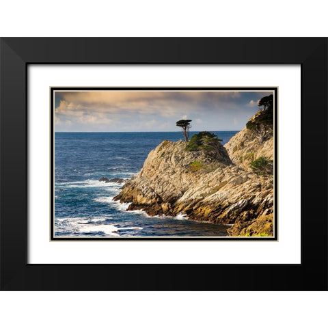 Cypress on Coastal Cliff-Point Lobos State Natural Reserve-California-USA Black Modern Wood Framed Art Print with Double Matting by Miller, Anna