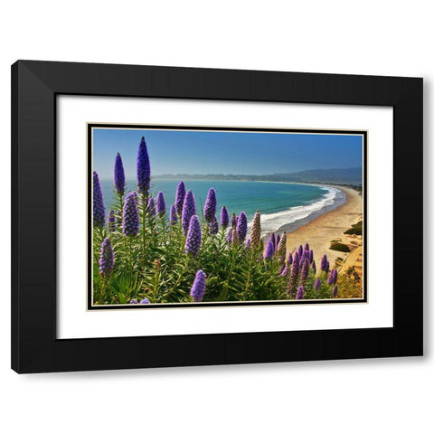 Beach-Coastal Marin Headlands-California-USA Black Modern Wood Framed Art Print with Double Matting by Miller, Anna