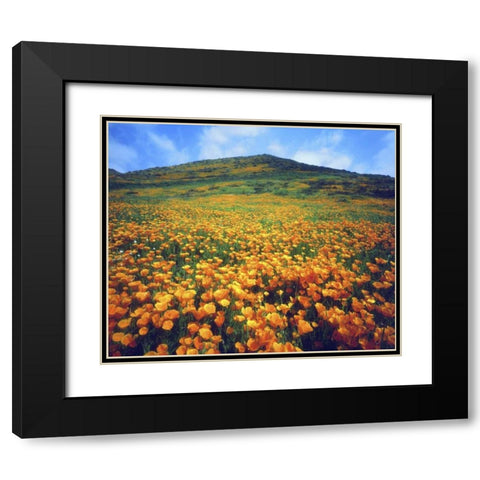 CA, Lake Elsinore California poppies on a hill Black Modern Wood Framed Art Print with Double Matting by Talbot Frank, Christopher