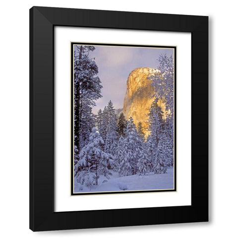 California, Yosemite El Capitan lit by sunlight Black Modern Wood Framed Art Print with Double Matting by Welling, Dave