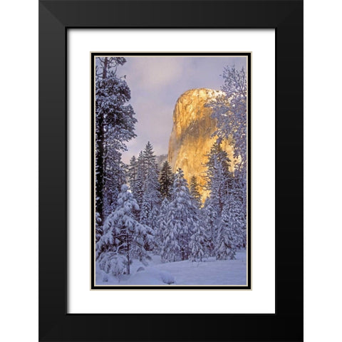 California, Yosemite El Capitan lit by sunlight Black Modern Wood Framed Art Print with Double Matting by Welling, Dave