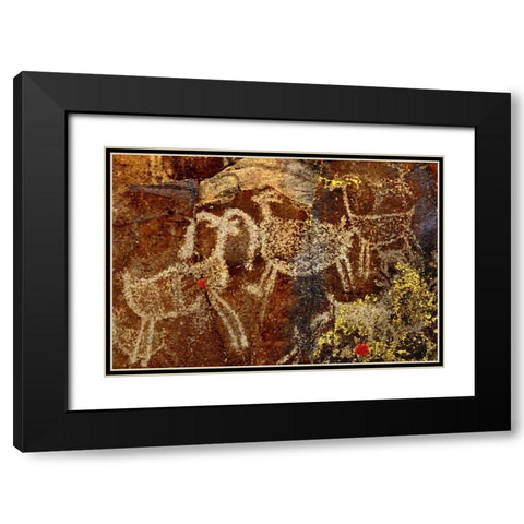 California, Little Petroglyph Canyon Petroglyphs Black Modern Wood Framed Art Print with Double Matting by Welling, Dave
