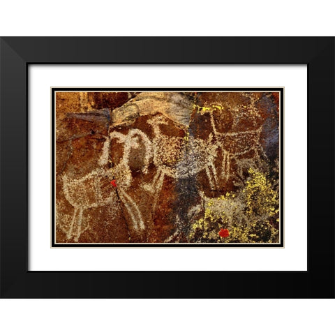 California, Little Petroglyph Canyon Petroglyphs Black Modern Wood Framed Art Print with Double Matting by Welling, Dave