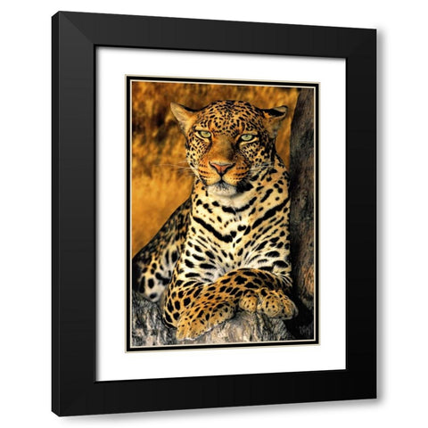 CA, Los Angeles Co, African leopard Black Modern Wood Framed Art Print with Double Matting by Welling, Dave