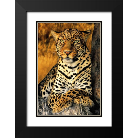 CA, Los Angeles Co, African leopard Black Modern Wood Framed Art Print with Double Matting by Welling, Dave
